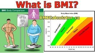 BMI Body Mass Index Introduction History and BMI Calculator [upl. by Bocock276]