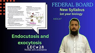 Endocytosis and Exocytosis  class 11 [upl. by Ignatius229]