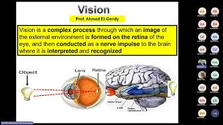 Physiology of Vision By Dr Ahmed Elgendy [upl. by Dennard]