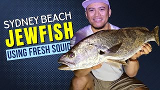 Sydney Beach Jewfish Using Fresh Squid [upl. by Nwadal512]