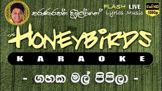 Gahaka Mal Pipila Karaoke Without Voice ගහක මල් පිපිලා කැරෝකේ [upl. by Olivette]