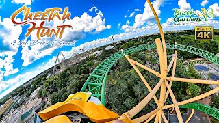 Cheetah Hunt Roller Coaster On Ride Front Seat 4K POV Busch Gardens Tampa 2024 09 30 [upl. by Athal]