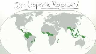 Ökosystem tropischer Regenwald  Biologie  Ökologie [upl. by Chavez628]