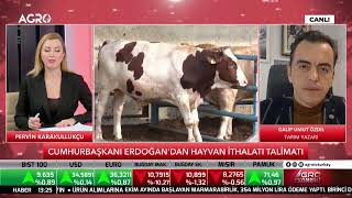 CANLI Cumhurbaşkanı Erdoğandan Hayvan İthalatı Talimatı  AGRO EKONOMİ [upl. by Mundy]