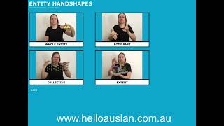 Auslan Mini Courses  Introduction to Depicting Signs [upl. by Brenner]