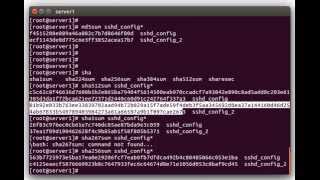 Using File HashesChecksums to Compare Files on Linux [upl. by Ahsinod]