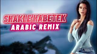 Elsen Pro amp Furkan Demir  Shakle Habetek Remix [upl. by Bopp]