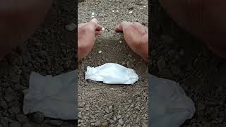 A funeral procession frog🐸🥀frog wildlife shorts viralvideo [upl. by Catima]