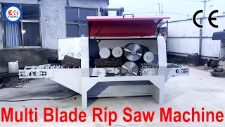 Sawing Effect of Automatic Multi Blade Rip Saw Machine [upl. by Neelloc151]