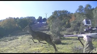 MONTERIAS EN TOLEDO 💥🐗🦌Jabalíes y Ciervas【INCREÍBLE】 [upl. by Asa]