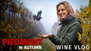 Piedmont in Autumn Wine Vlog [upl. by Wendelin280]