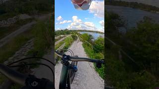 Florida mountain bike trails 😅 mtb florida [upl. by Xineohp]