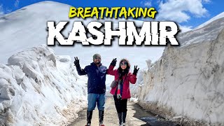 এমন শ্বাসরুদ্ধকর অভিজ্ঞতা আগে কখনো হয়নি Best Day in Kashmir Tour  Snow in Summer [upl. by Jacquie]