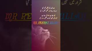 MR REHMAT ULLAH video viralvideo plzdosuporrtmychanlfriends [upl. by Ecneralc]