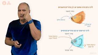 דו חיים  דגי הריאות [upl. by Novahs]