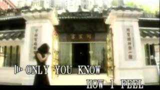 Cant Let Go  Lynda Trang Dai Official MV Lyrics [upl. by Cormack]