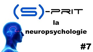 La neuropsychologie en 4 points  Sprit 7 [upl. by Apollus]