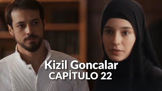 Kizil Goncalar Brotes Rojos Capitulo 22  Zeynep encontró Cüneyd [upl. by Ahkeber]