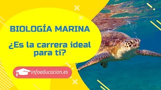 🎓 Estudiar biología marina ¿Es la carrera ideal para ti ➡️ TEST 10 preguntas 🔬 [upl. by Egdamlat111]