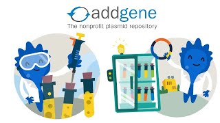 Addgene  Sequence Analysis  Restriction Enzymes  Nucleotide  Blast  Bioinformatics  Urdu [upl. by Charissa]