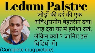 Ledum Palstre  Ledum Pal Homeopathic Medicine Uses  Homeopathic medicine for Rheumatism and injury [upl. by Naillil]