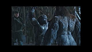 WAR FOR THE PLANET OF THE APES End of Humanity EXPLORED [upl. by Sommer]