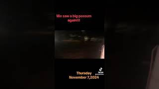 We saw a big possum again [upl. by Collin]