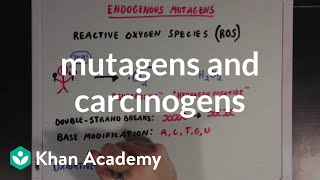 Mutagens and carcinogens  Biomolecules  MCAT  Khan Academy [upl. by Stewardson]