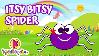 ITSY BITSY SPIDER  CoComelon Nursery Rhymes [upl. by Ahsinor]