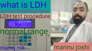 Ldh test procedure \what is LDH  lactate dehydrogenase [upl. by Assertal618]