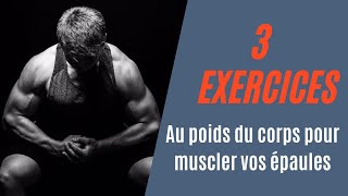 Muscler vos épaules au poids du corps [upl. by Ditter]