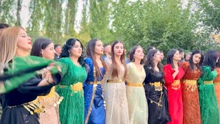 Kürt gençlerin xerzani halayı kurdish wedding 2024 [upl. by Ttenrag]