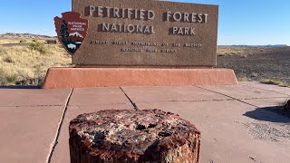 A Tour of Petrified Forest National Park [upl. by Irwinn]