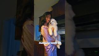 Watch My Adorable Great Pyrenees Puppy Grow  Monthly Updates puppy pets [upl. by Sulokcin]