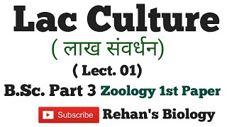 Lac Culture लाख संवर्धन Lac insect Laccifer lacca Tachardia spZoology BSc3 Rehans Biology [upl. by Juana]