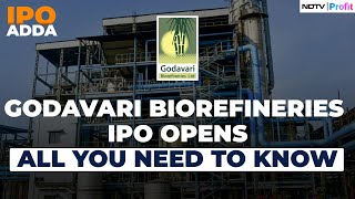 Godavari Biorefineries Sets The Price Band  What Should Investors Expect [upl. by Yhtorod]