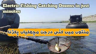 Electric Fishing Catching Fish With Generator Electro Fishing In Fresh Water Dozens In just Minutes [upl. by Doykos]