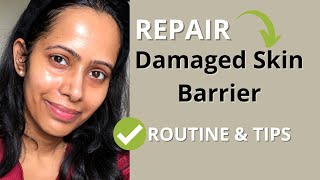 REPAIR Damaged Skin Barrier with this Skincare Routine and Tips  All Skin types [upl. by Ymaj]