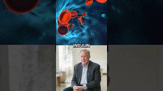 How Insulin Can Be Helpful or Harmful  Dr Robert Lustig [upl. by Aleirbag]