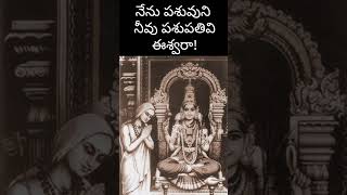 నేను పశువుని నీవు పశుపతివి ఈశ్వరా chaganti shankaracharya eswara pravachanalu [upl. by Zamora]