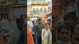 पुष्कर मेला 2024 Pushkar Mela aitihasik Mela [upl. by Austin860]