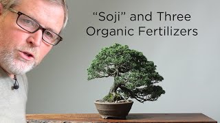 Bonsaify  How to Use Organic Fertilizers with Bonsai Trees [upl. by Annaillil872]