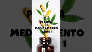 PARTE 1 A fitoterapia usa substâncias naturais de plantas para criar medicamentos [upl. by Karalynn]