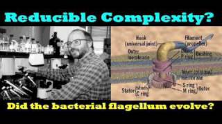 Reducible Complexity [upl. by Avra745]