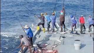 FISHING  TUNA  MALDIVES 🎣 [upl. by Peyton773]