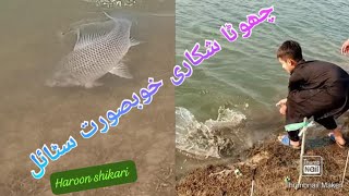 New update mangla dam good size rohu and hybrid fish by Haseeb shikari [upl. by Lerret]