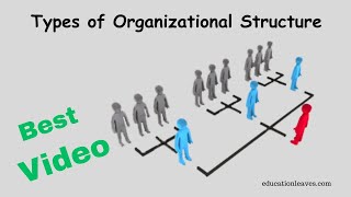 Types of Organizational Structure in management [upl. by Tod]