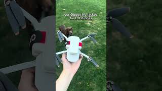 OBUOY™ Life Jacket provides buoyancy djidrones easyrecovery bayarea dronesdaily dronesafety [upl. by Anaiek]