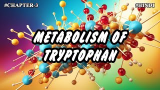 Chapter  3  Metabolism Of Amino Acids  Tryptophan Metabolism Part8  Hindi [upl. by Christin899]