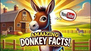 Amazing Donkey Facts [upl. by Collum]